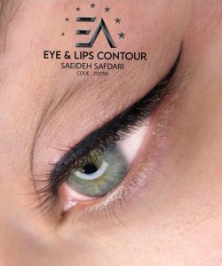 ‏صفدری ‏آموزش ‏میکروبلیدینگ ‏شیدینگ ‏چشم ‏و ‏لب ‏بن ‏مژه ‏در ‏فرمانیه ‏شمال ‏تهران 12