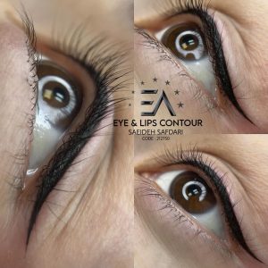 ‏صفدری ‏آموزش ‏میکروبلیدینگ ‏شیدینگ ‏چشم ‏و ‏لب ‏بن ‏مژه ‏در ‏فرمانیه ‏شمال ‏تهران 14