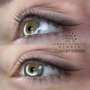 ‏صفدری ‏آموزش ‏میکروبلیدینگ ‏شیدینگ ‏چشم ‏و ‏لب ‏بن ‏مژه ‏در ‏فرمانیه ‏شمال ‏تهران 19