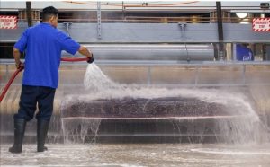 ‏لطیف ‏مبل ‏شویی ‏رفوگری ‏قالیشویی ‏در ‏تهرانسر 10