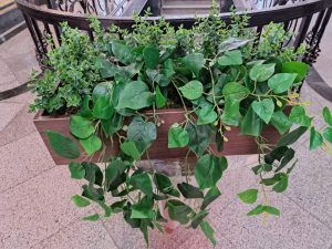 ‏گلباران ‏تزئینات ‏عقد و ‏عروسی ‏در کاشان ‏خیابان ‏بابا ‏افضل 14