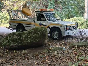 WhatsApp Image 2025 01 29 at 08.39.12 2