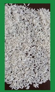رایس خرید برنج ممتاز شمال بدون واسطه در بابل کمربندی غربی‏ 10