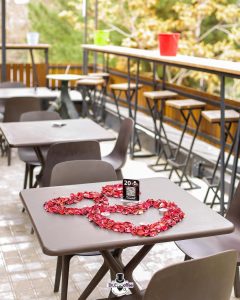WhatsApp Image 2025 02 01 at 08.47.51