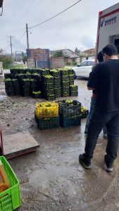 ‏وحید ‏خرید ‏آبمیوه ‏طبیعی ‏و ‏بستنی ‏ویتامینه ‏در ‏تهران ‏پردیس