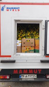 ‏وحید ‏خرید ‏آبمیوه ‏طبیعی ‏و ‏بستنی ‏ویتامینه ‏در ‏تهران ‏پردیس 20