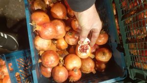 ‏وحید ‏خرید ‏آبمیوه ‏طبیعی ‏و ‏بستنی ‏ویتامینه ‏در ‏تهران ‏پردیس 9