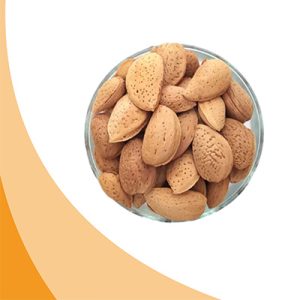 160159 بادامم1