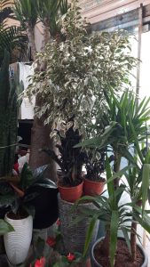 WhatsApp Image 2025 03 05 at 15.32.26 2