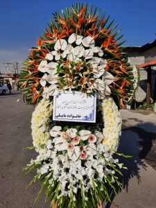 WhatsApp Image 2025 03 05 at 15.32.29 3