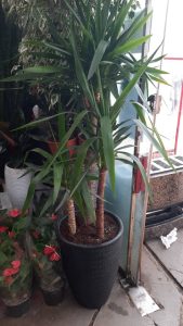 WhatsApp Image 2025 03 05 at 15.32.30 2