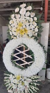 WhatsApp Image 2025 03 05 at 15.32.33 2