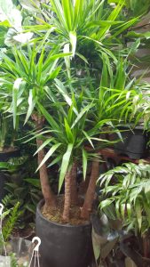 WhatsApp Image 2025 03 05 at 15.32.35 3