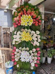 WhatsApp Image 2025 03 05 at 15.32.36 2