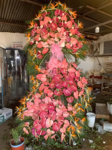 WhatsApp Image 2025 03 05 at 15.32.37 1 2