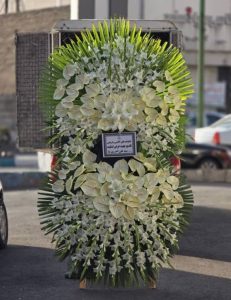 WhatsApp Image 2025 03 05 at 15.32.38 3 2