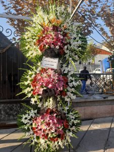 WhatsApp Image 2025 03 05 at 15.32.39 1 2