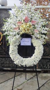 WhatsApp Image 2025 03 05 at 15.32.39 5