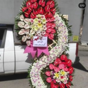 WhatsApp Image 2025 03 05 at 15.32.41 3 2