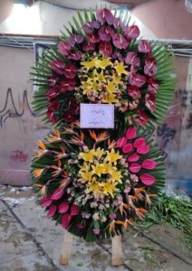 WhatsApp Image 2025 03 05 at 15.32.44 1 2