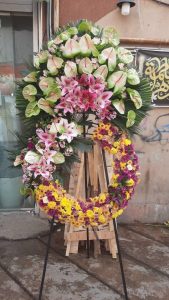 WhatsApp Image 2025 03 05 at 15.32.46 4 3