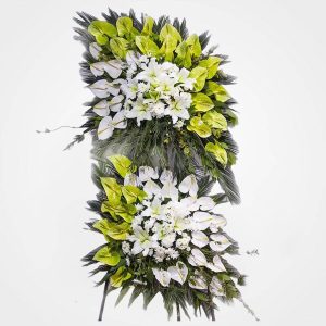 WhatsApp Image 2025 03 05 at 15.32.48 1 2