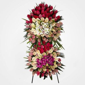 WhatsApp Image 2025 03 05 at 15.32.48 3 2