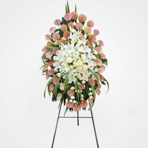 WhatsApp Image 2025 03 05 at 15.32.49 2 2