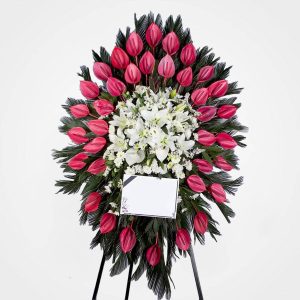 WhatsApp Image 2025 03 05 at 15.32.49 3 2