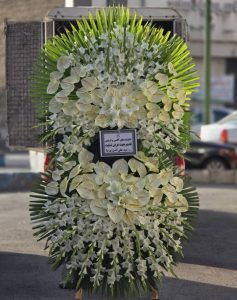 WhatsApp Image 2025 03 05 at 15.32.50 1 2