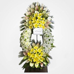 WhatsApp Image 2025 03 05 at 15.32.51 1 2