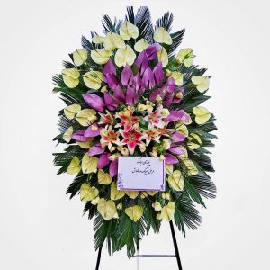 WhatsApp Image 2025 03 05 at 15.32.52 2