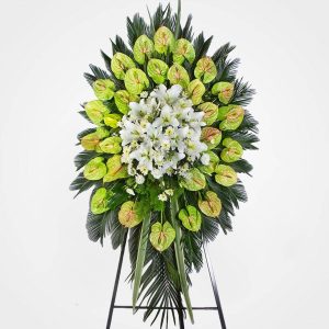 WhatsApp Image 2025 03 05 at 15.32.53 2 2