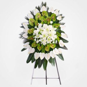 WhatsApp Image 2025 03 05 at 15.32.53 3 2