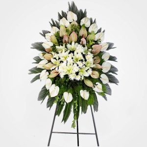 WhatsApp Image 2025 03 05 at 15.32.53 6