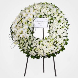 WhatsApp Image 2025 03 05 at 15.32.54 1 2