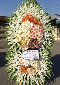 WhatsApp Image 2025 03 05 at 15.32.54 3