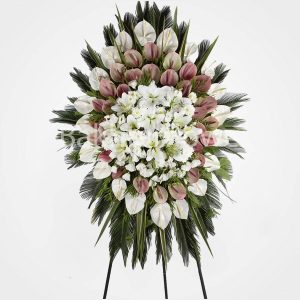 WhatsApp Image 2025 03 05 at 15.32.55 1 2