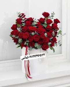 WhatsApp Image 2025 03 05 at 15.32.55 4