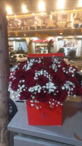 WhatsApp Image 2025 03 05 at 15.32.56 1 2