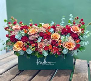 WhatsApp Image 2025 03 05 at 15.32.56 2 2