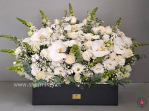 WhatsApp Image 2025 03 05 at 15.32.56 4