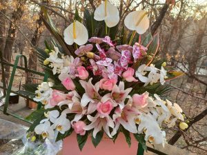 WhatsApp Image 2025 03 05 at 15.32.57 1 2