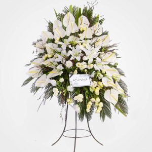 WhatsApp Image 2025 03 05 at 15.32.58 1 2