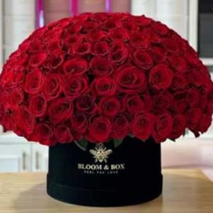 WhatsApp Image 2025 03 05 at 15.32.58 3