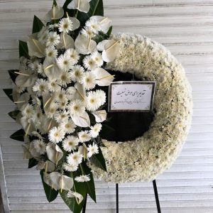 WhatsApp Image 2025 03 05 at 15.32.59 2