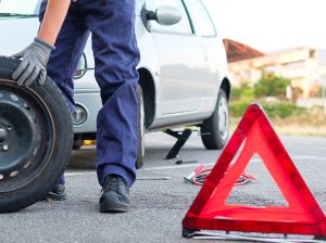 WhatsApp Image 2025 03 06 at 08.53.57 2 4