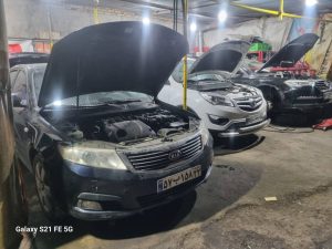 WhatsApp Image 2025 03 16 at 08.53.27 2 2